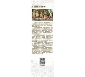 家長(zhǎng)護(hù)理骨折患兒需注意患肢功能鍛煉 合理調(diào)整外固定